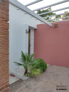 Spinola Beachfront Bungalows - Apartamentos bungalow en primera linea de playa en Sanlúcar de Barrameda