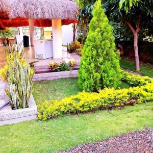 Golden House Campestre Para Festival Vallenato