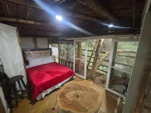 Tekoa - Las Esquinas