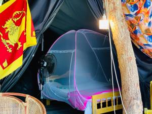Delft Village Stay - Experience Based Local Island Stay in Jaffna