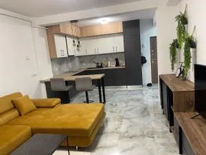 Apartament Urban Chic - 赛比什