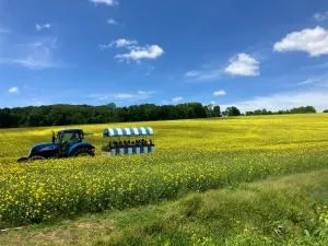 落ち着きのある安らぎ空間／新千歳空港から30分の一棟貸し民家 - Atsugacho