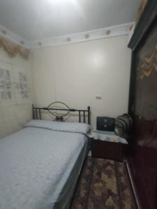 شقة سوبر لوكس مفروشة بالعجمي