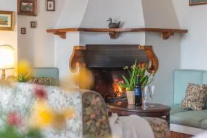 Spaziosa villa bifamiliare - 坎帕尼亚诺·迪罗马