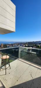 Placeres Viña del Mar