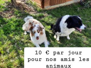 Andreini Patricia et Bruno