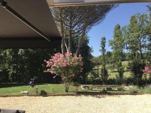 Appartements Appartement cosy avec terrasse et piscine dans le Perigord Noir - FR-1-616-473 : photos des chambres