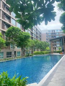 Dcreek 79 Modern chic condo near patong