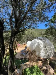 Bulle du Fangu - Manso