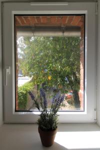 Maisons de vacances Au petit jardin d Aizenay : Maison 2 Chambres