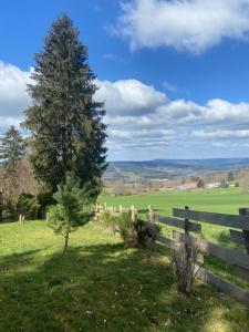 Chalets Chalet authentique au calme, en lisiere de foret, montagne, sentiers 15mn Gerardmer & Alsace 