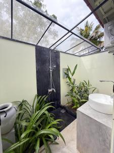 KA Surf Hostel