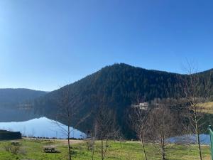 Chalets Chalet authentique au calme, en lisiere de foret, montagne, sentiers 15mn Gerardmer & Alsace 