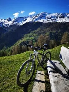 Nikis Bergloft - Navis