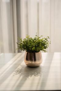 Modern Condo in Nimman P608 by Pimolplace