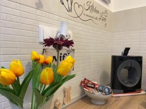 Szeged Sunshine Apartman