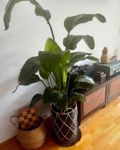 AllgäuLoft im Sennhof