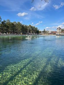 Apartman Royal Chill