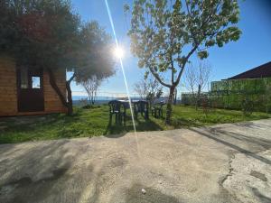 Meti guest house