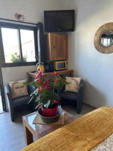 Sejours chez l'habitant La Rose des Vents : photos des chambres