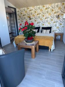 Sejours chez l'habitant La Rose des Vents : photos des chambres