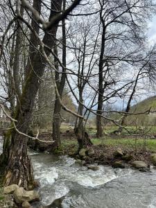 VILLA INBAR - Village house on the river