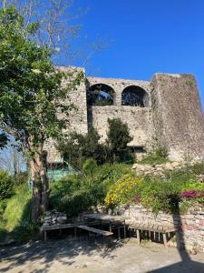 Trebiano a casa dei nonni