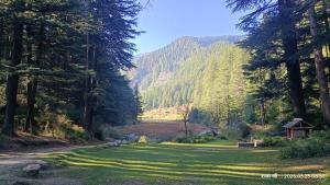 HIMALAYAN Heart AASHIYANA