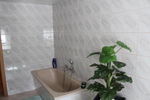 Ferienwohnung Czermak