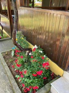 Дървени къщички - Лион