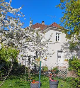 Appartements Gite Le Marronnier - au calme - parking & terrasse - pres de Colmar et Riquewihr - route des vins : photos des chambres