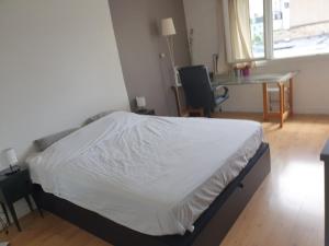 Large 100 m2 apartment in Paris 14th arrondissement