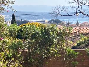 Appartements Campagne Vanrell : Villa - Vue sur Jardin