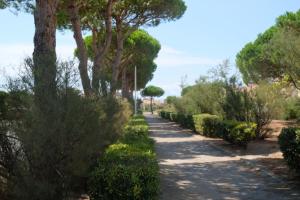 Appartements Superbe appartement terrasse piscine proche plage : photos des chambres
