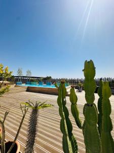 Sompteux Appartement 1 chambre Piscine à Marrakech