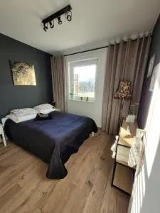 City Park Szczecinek - 波乌琴-兹德鲁伊