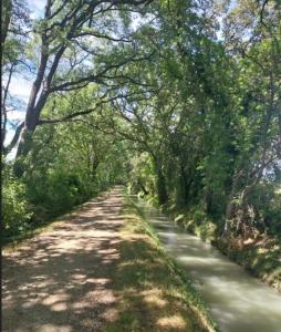 Appartements La Maison perchee - Mas de Rousseau : photos des chambres