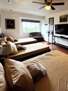 Premier Family Studio Room in Albergo Baguio