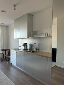 Ozas Cozy Studio apartment