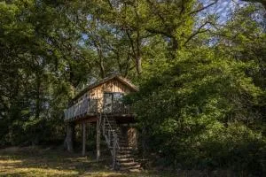 Boomhuis Domaine Bonneblond - Le Châtelet