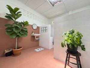 WWP HAUS Glamping and stay in Kiriwong คีรีวง