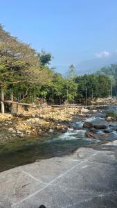 WWP HAUS Glamping and stay in Kiriwong คีรีวง