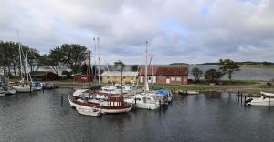 Großes Piratennest - Am Meer