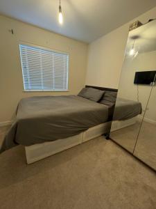 Cozy Room in Bute House