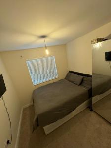 Cozy Room in Bute House