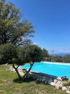 Villa Grazia