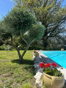 Villa Grazia - SantʼAnna