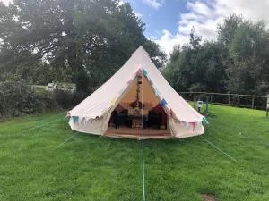 Glamping with Alpacas! - Alton Towers - Croxden