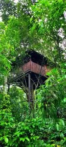 Greens Tree House & Wood House - Devāla