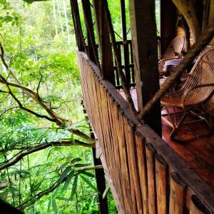 Greens Tree House & Wood House